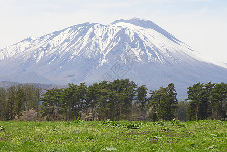 草原和伊瓦特山阳光季节场地绿色蓝色草地天空太阳图片