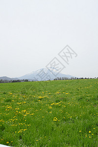 草原和伊瓦特山阳光蓝色季节场地天空草地绿色太阳图片