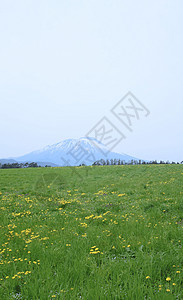 草原和伊瓦特山阳光太阳天空绿色季节草地蓝色场地图片