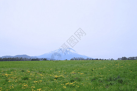 草原和伊瓦特山天空场地阳光绿色太阳草地季节蓝色图片