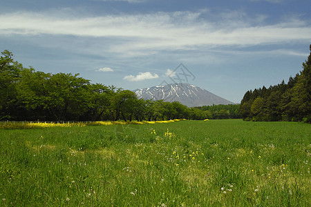 伊瓦特山和蓝天场地农业生长芸苔黄色风景蓝色农田种子天空图片