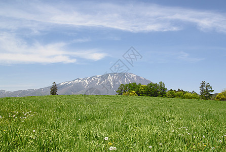 伊瓦特山和蓝天草地蓝色季节阳光天空绿色场地太阳草原图片