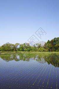 伊瓦特山和牧区景观绿色蓝色村庄国家蓝天农场天空场地田园图片