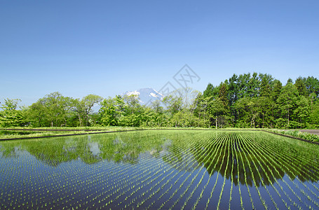 伊瓦特山和牧区景观农场蓝色村庄田园蓝天绿色场地国家天空背景图片