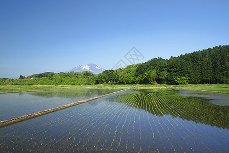 伊瓦特山和牧区景观场地蓝色国家蓝天绿色天空农场田园村庄图片