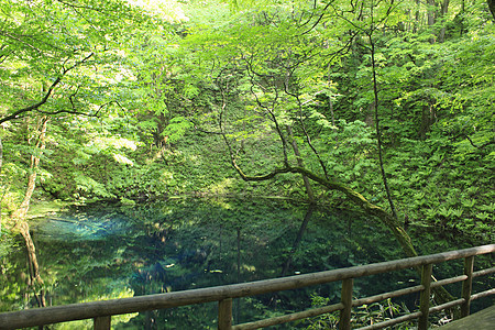 世界遗产场景池塘吸引力薪水游客山毛榉蓝色植物遗产世界图片