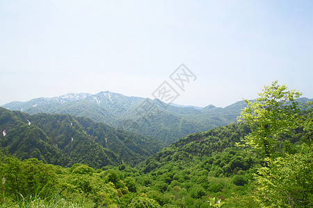 白神山地蓝色的神秘高清图片