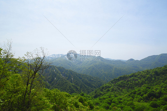 白海三井的关口植物场景森林薪水山毛榉世界遗产景点树林旅游蓝色图片