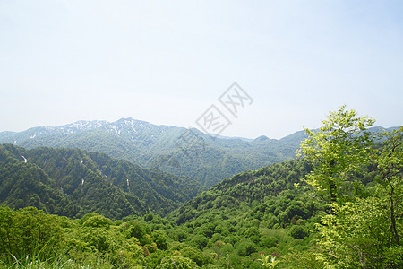 白海三井的关口树林世界遗产景点场景蓝色山毛榉植物薪水森林旅游图片