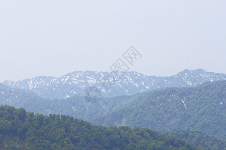 白海三井的关口薪水森林景点旅游植物世界遗产蓝色山毛榉场景树林图片