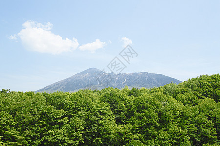 绿色新绿 伊瓦特山天空木头树木图片