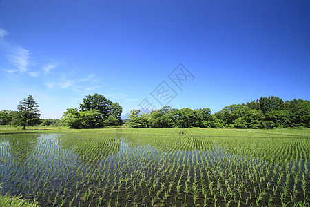 伊瓦特山和蓝天蓝色天空天气晴天背景图片