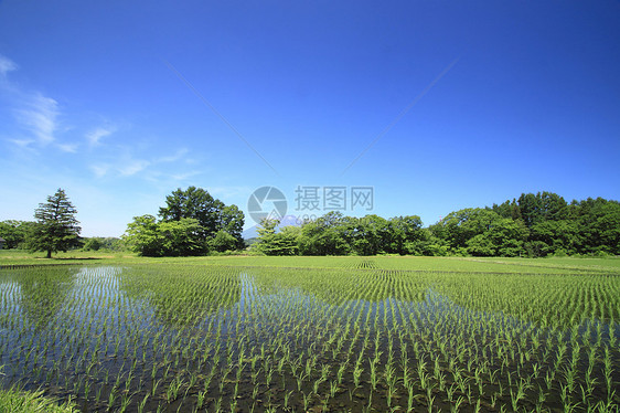 伊瓦特山和蓝天蓝色天空天气晴天图片