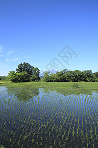 伊瓦特山和蓝天蓝色天空晴天天气背景图片