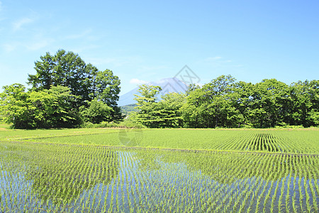 伊瓦特山和蓝天蓝色天气天空晴天背景图片