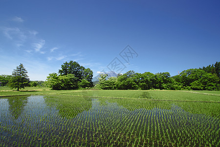 伊瓦特山和蓝天天空天气晴天蓝色背景图片