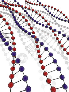 字符串DNA医学正方形基因螺旋化学原子分子生物学蓝色倍率图片