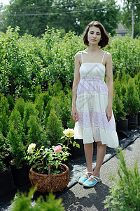 夏季夏月商业玫瑰草本植物职业环境工作女性女孩农业绿色图片