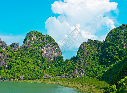 哈隆湾的岩石岩溶巡航悬崖森林海洋游客假期石灰石蓝色旅行图片