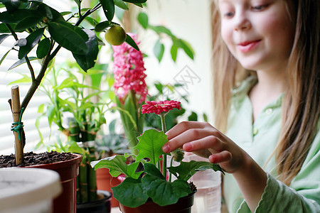 快乐的女孩女性叶子粉色植物绿色园艺生长花瓣花园孩子图片