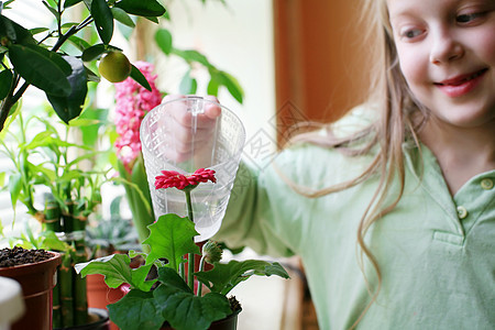 快乐的女孩绿色童年女性植物生长孩子花园叶子园艺粉色图片