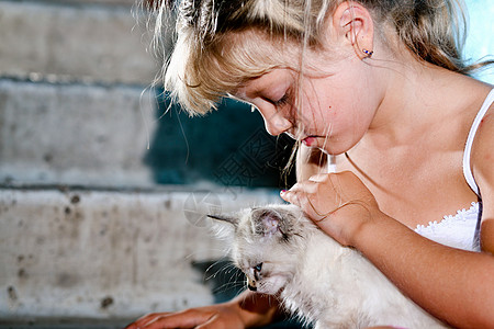 猫女孩和猫咪在一起的好女孩动物毛皮好奇心白色小猫友谊乐趣孩子背景