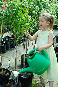 小园丁植物农业园艺绿色玫瑰季节性孩子花园女性女孩图片