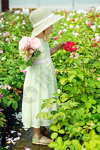 在温室里的女孩园丁玫瑰女性孩子植物粉色叶子花园帽子农业图片