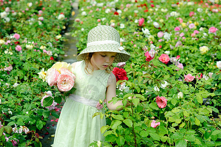 在温室里的女孩花园绿色季节性帽子粉色园艺黄色玫瑰女性叶子图片