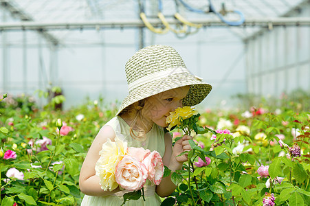 在温室里的女孩植物黄色粉色帽子园艺农业孩子季节性园丁花园图片