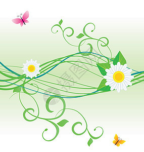 雏菊和蝴蝶绿色春季和夏季自然媒介图片