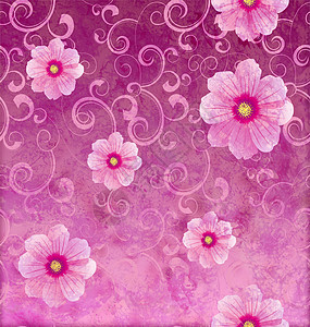 粉红花花 浪漫的春春春情背景 爱情和可爱织物装饰装饰品插图玫瑰礼物边界墙纸婚礼风格图片