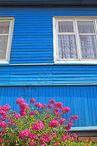 木制建筑墙壁附近的鲜花家庭草地场景历史蓝色木头人行道住宅农场栅栏图片