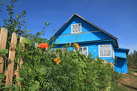 农村木制建筑附近的夏花花鲜花历史院子窗户村庄财产乡村木头蓝色住宅图片