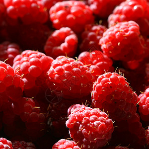 草莓背景甜点杂货店生产红色水果宏观饮食覆盆子诱惑食物图片