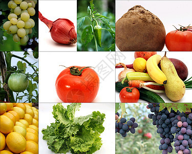 水果和蔬菜小吃食物蓝色柠檬橙子正方形叶子热带浆果植物图片
