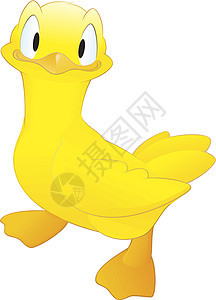 卡通鸭动物微笑黄色插图家禽吉祥物绘画农场卡通片背景图片