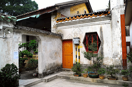 后院建筑花朵花园装饰叶子房子建筑学佛教徒绿色石头图片