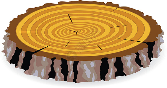 木制切割圆圈森林材料历史同心生活木材阴影木头日志图片