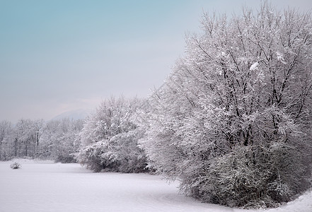 蓝色天空的寒冬风雪图片