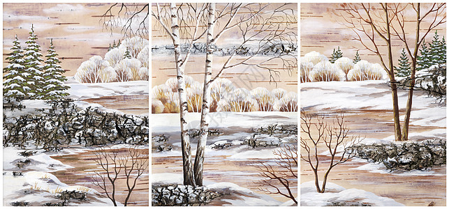 风景 树皮上脱色手工业荒野绘画生态瘟热国家雪堆森林天气木头图片