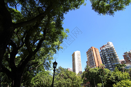 布宜诺斯艾利斯广场大厦城市建筑学蓝色建筑植物广场天空公园途径图片