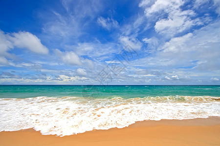 白沙滩公园海洋森林全景旅行天堂海滩蓝色植物地标图片