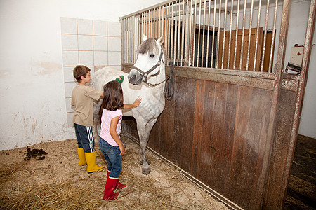 男孩与女孩马骑马训练动物关爱运动家畜马术农业乐趣打扫马厩图片
