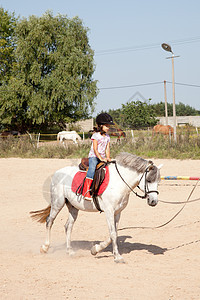 女孩骑马跑步必修课程运动马术骑术乐趣农场白色小跑动物小马休闲图片