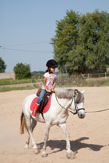 女孩骑马跑步必修课程小跑乐趣休闲运动农业农场骑术女性化家畜训练图片
