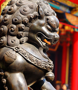 中国寺庙里的青铜狮旅行历史红色雕像建筑学狮子帝国石头地标文化图片