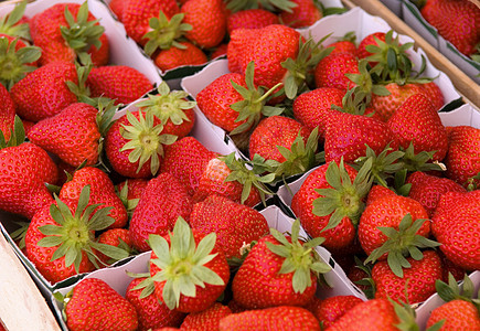 新鲜草莓热情饮食水果早餐种子浆果生态宏观小吃墙纸图片