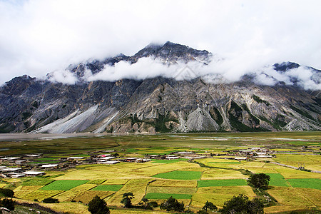 小麦田地貌景观图片