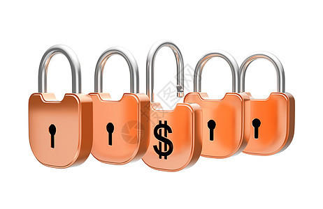 Paddlock 概念 - 美元货币安全图片